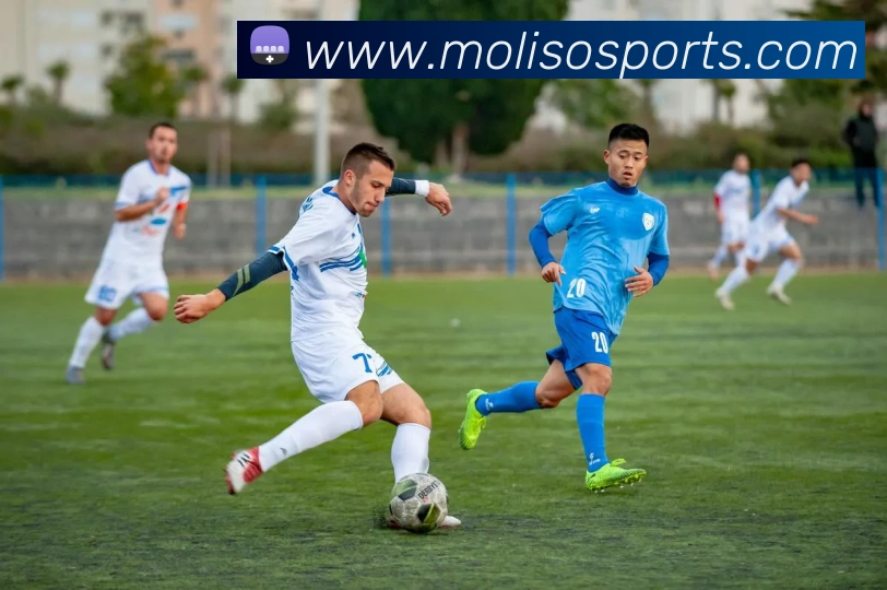 球赛投注平台生态图